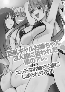 せんぱい×びっち×はーれむ♡, 日本語