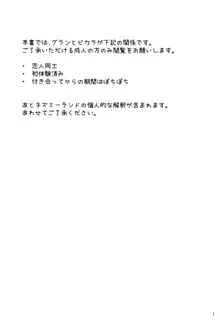 ビカラちゃんと夢の国で, 日本語