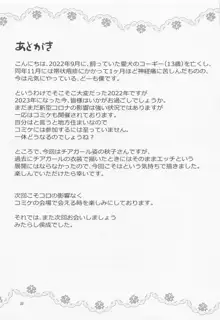 秋子さんといっしょ28, 日本語