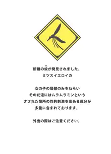 エッチな蚊にご注意を! 〜水着でハプニング編〜, 日本語