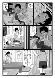 夏休みの思い出, 日本語