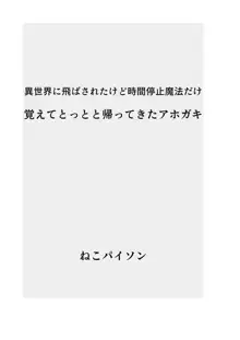 異世界に飛ばされたけど時間停止魔法だけ覚えてとっとと帰ってきたアホガキ, 日本語