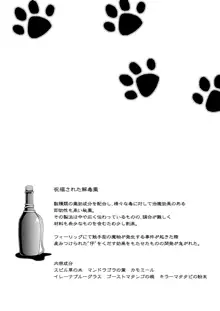 猫狩人ちゃんはぼーけんしゃにあこがれる, 日本語