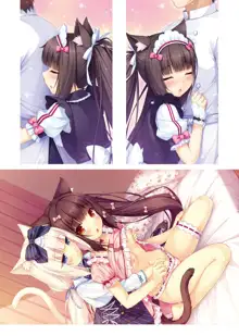 NEKOPARA ART WORKS Vol.1, 日本語