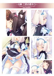 NEKOPARA ART WORKS Vol.1, 日本語