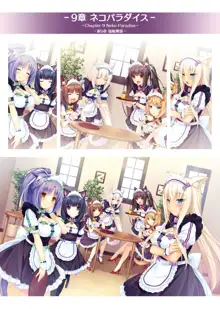 NEKOPARA ART WORKS Vol.1, 日本語