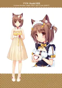 NEKOPARA ART WORKS Vol.3, 日本語