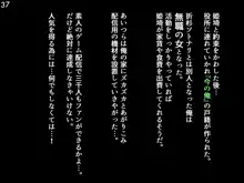 オタサーの姫サキュバス, 日本語