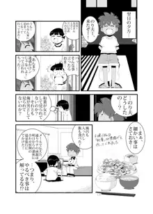 性実習, 日本語