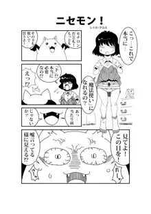 ニセモン！, 日本語