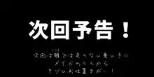 淑女への道, 日本語