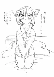 仔猫のみーな, 日本語