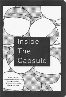 Inside The Capsule, 日本語