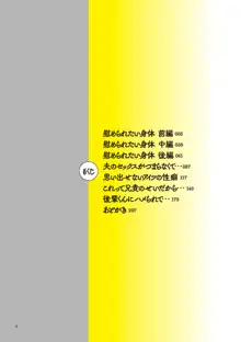 浮気だけど好きな人, 日本語