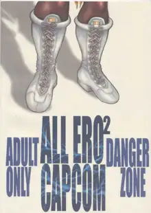 ALL ERO2 CAPCOM DANGER ZONE, 日本語