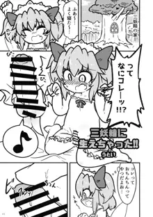 東方おちんぽ生えちゃった合同誌, 日本語