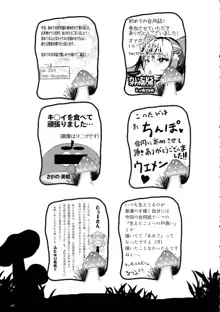 東方おちんぽ生えちゃった合同誌, 日本語