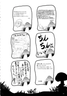 東方おちんぽ生えちゃった合同誌, 日本語