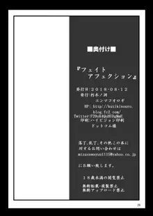 なのはReflectionヒロインズ R-18総集編, 日本語