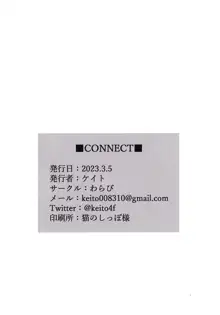 connect, 日本語