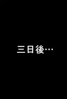 ととクエエルフ奴隷化計画, 日本語