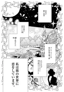 夢見る編集者と無気力小説家 1-11, 日本語