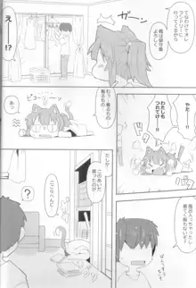 娘猫と遊ぼ!-あめあそび編-, 日本語