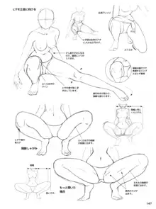 セクシーなキャラクターの描き方, 日本語