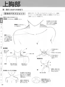 セクシーなキャラクターの描き方, 日本語