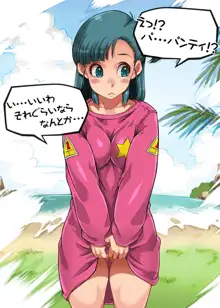 bulma niaxs!, 日本語