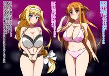 おじSAO(竿)～ドスケベ美女とイチャラブえっち～, 日本語