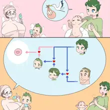 Family Unity, 日本語