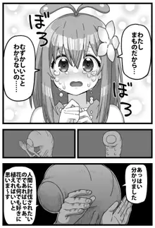 イモムシ VS こどもアルラウネちゃん, 日本語