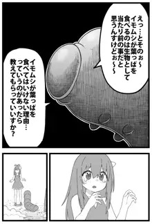 イモムシ VS こどもアルラウネちゃん, 日本語