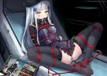 【HK416】改造検査（噓）, 日本語