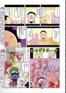 月刊ブラジル, 日本語