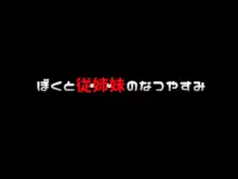 ぼくと従姉妹のなつやすみ, 日本語