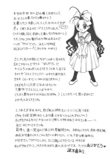 魔法王女, 日本語