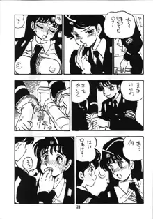 婦人警官, 日本語