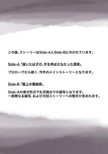 きみの全てを奪うまで, 日本語