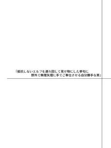 帰るところのないエルフに好き勝手ひどいことして楽しむ男の話, 日本語