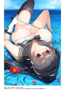 AKAPENGUIN GOODS ILLUST COLLECTION, 日本語