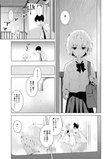 ノラネコ少女との暮らしかた 第1-40話, 日本語