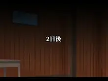 義賊は富を盗み、貴族は妻を奪った。, 日本語