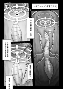 魔女が触手と蟲に寄生されて子宮と人生をめちゃくちゃにされる話, 日本語