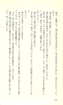 バーチャコール―恋のダイヤルシミュレーション, 日本語