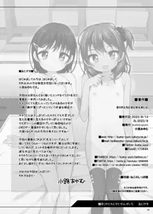 るりかとちとせとせんせいと, 日本語