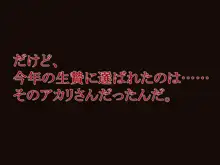 変態雌犬調教～市役所職員アカリ～, 日本語