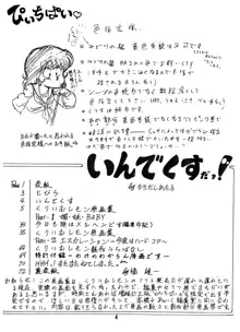 ［悶々亭］ぴぃちぱい Vol.2 い・け・な・い アニメ原画集／くりいむレモン原画集, 日本語