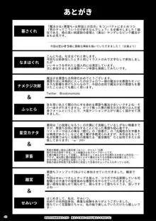 魔法少女悪堕ち学, 日本語